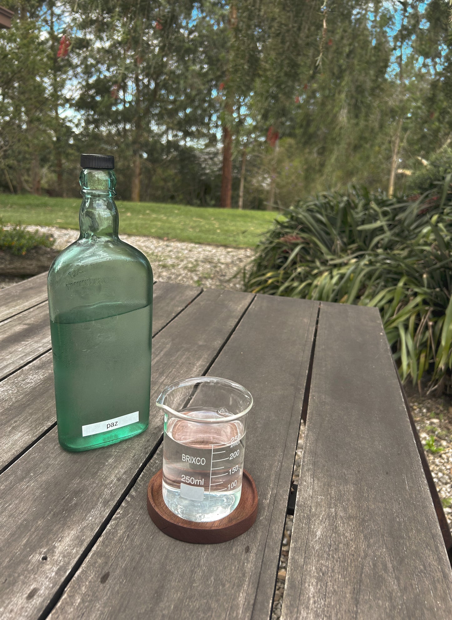 Portavasos LD