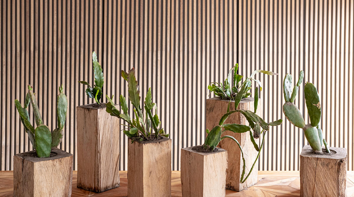 Piezas varias - Plantas Piezas varias - Plantas