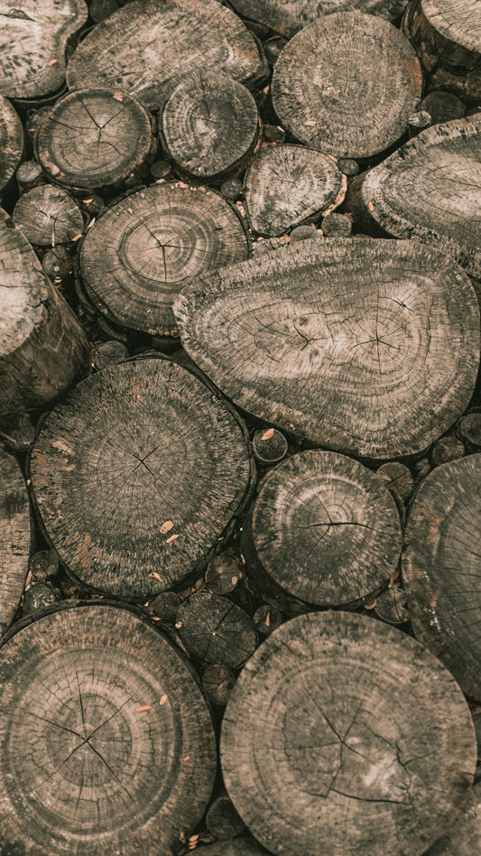 Materiales vivos: cómo elegir materiales naturales para tu hogar